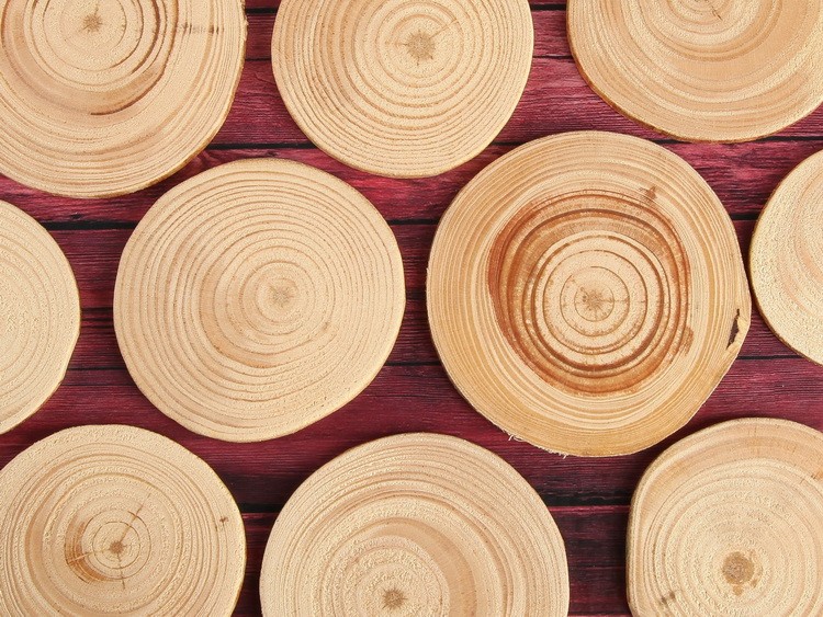Спилы дерева в интерьере: 20 вдохновляющих примеров и мастер-класс